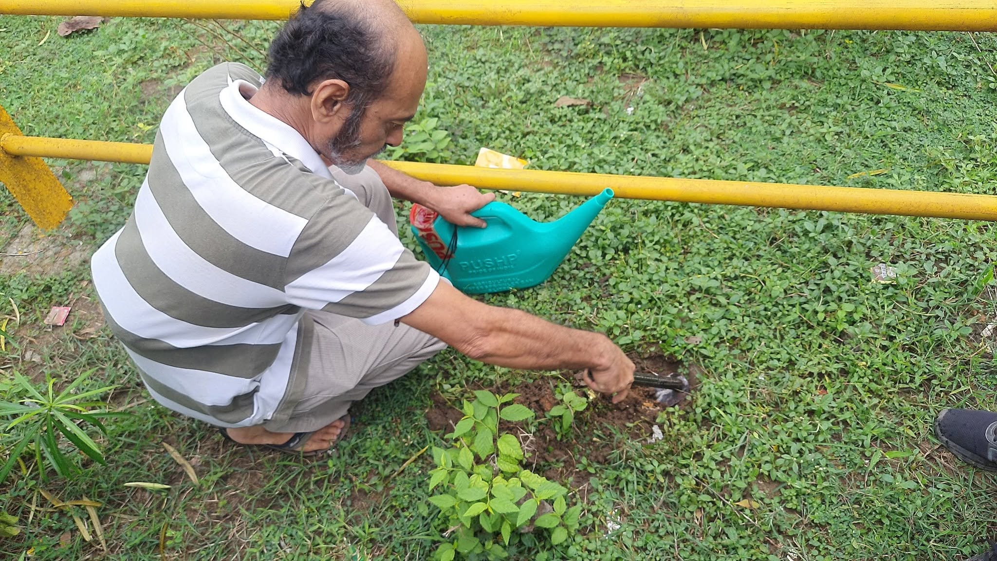 Foundation activity